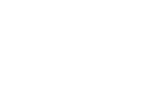 Shoppen Shop, Einkaufen